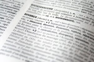 lena nguyen family law attorney divorce lawyer houston texas california